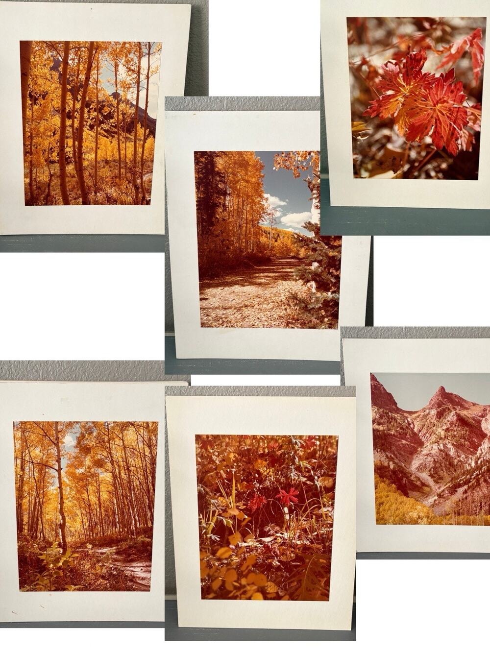 Vintage Photos Mounted on Matboard Color Photographs Travel Landscape Lot Of 6